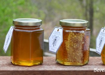 تبلیغات عسل و بازاریابی عسل رو چطور انجام بدیم؟